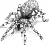 The Asbestos Spider, we are no fan of creepy crawlies!